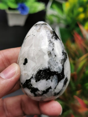 Rainbow Moonstone Egg - Energy/Reiki/Crystal Healing - Shwasam