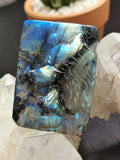 Labradorite slab carving of Wolf head - Meticulouly handcarved - Lapidary Art - Shwasam