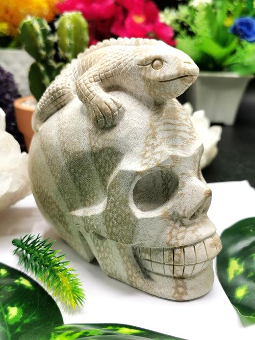 Coral Jasper Skull with lizard on top carving -Incredible craftsmanship - Lapidary Art - Shwasam