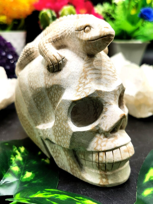 Coral Jasper Skull with lizard on top carving -Incredible craftsmanship - Lapidary Art - Shwasam