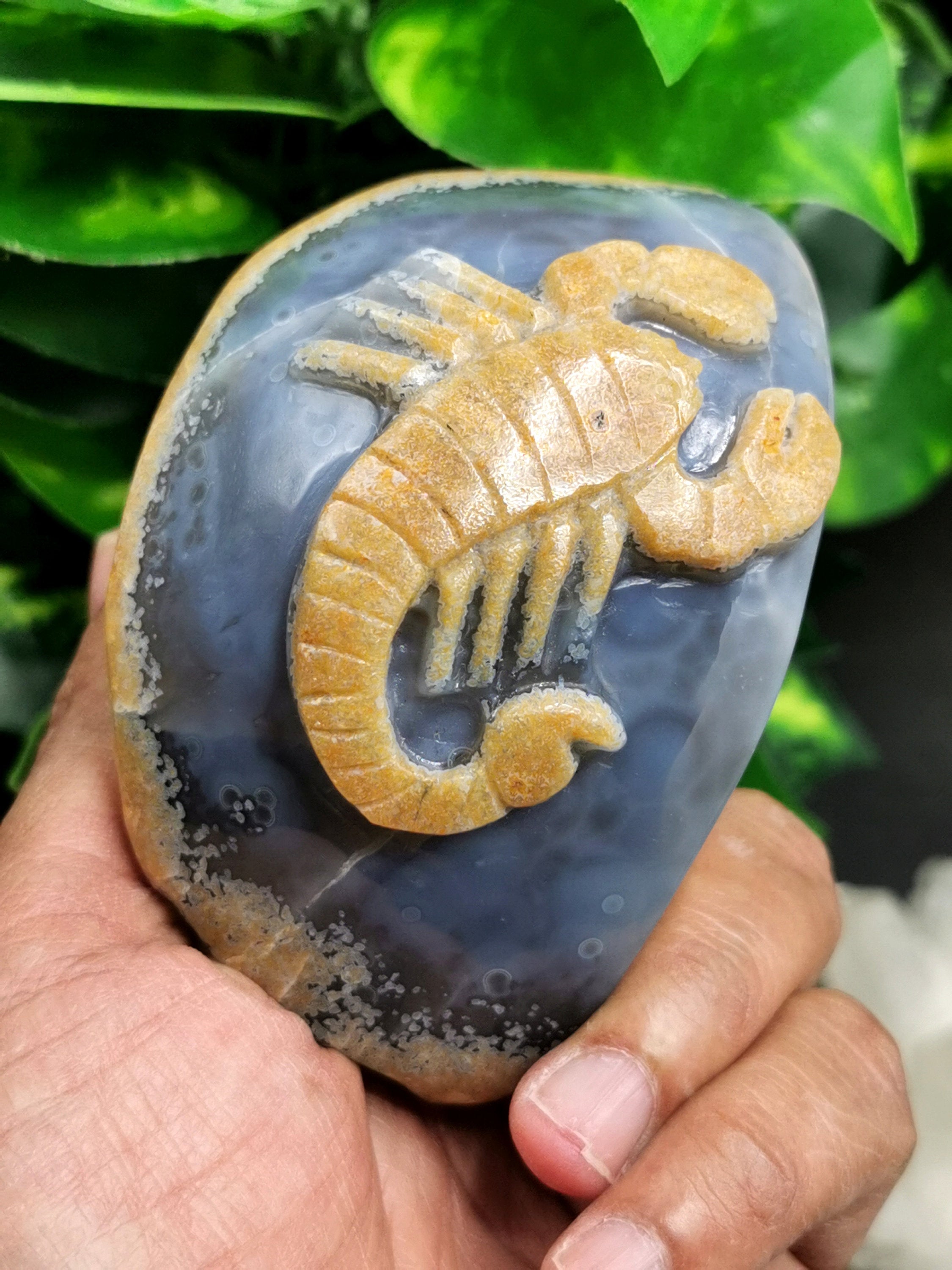 Natural Agate Stone geode with carving of Scorpion - crystal/reiki/cha