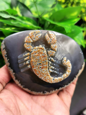 Natural Agate Stone geode with carving of Scorpion - crystal/reiki/chakra/healing - Shwasam