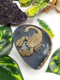 Natural Agate Stone geode with carving of Scorpion - crystal/reiki/chakra/healing - Shwasam