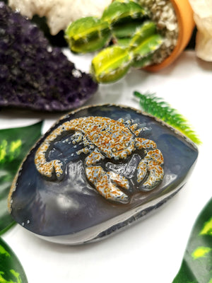 Natural Agate Stone geode with carving of Scorpion - crystal/reiki/chakra/healing - Shwasam