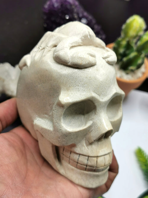 Coral Jasper Skull with Scorpion Carving on top intricately hand carved - Shwasam