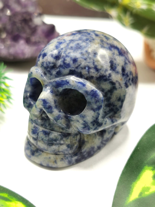 Skull in natural sodalite stone - reiki/chakra/healing - crystal crafts - weight 86 gm (0.19 lb) and 1.5 inches - Shwasam