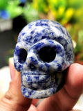 Skull in natural sodalite stone - reiki/chakra/healing - crystal crafts - weight 86 gm (0.19 lb) and 1.5 inches - Shwasam