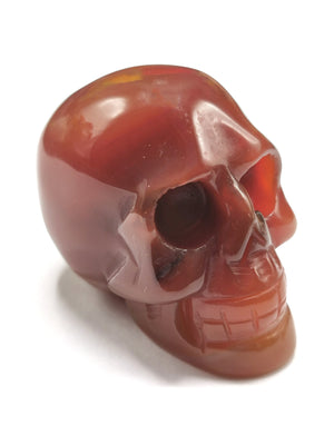 Skull in natural red agate stone - reiki/chakra/healing - crystal crafts - weight 90 gm (0.20 lb) and 1.5 inches - Shwasam