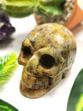 Crazy lace agate stone skull - reiki/chakra/healing - crystal crafts - Shwasam