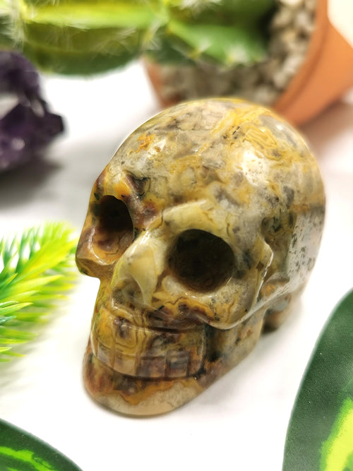 Crazy lace agate stone skull - reiki/chakra/healing - crystal crafts - Shwasam