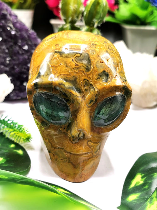 Crazy Lace Agate alien head with labradorite eyes - crystal healing - Shwasam