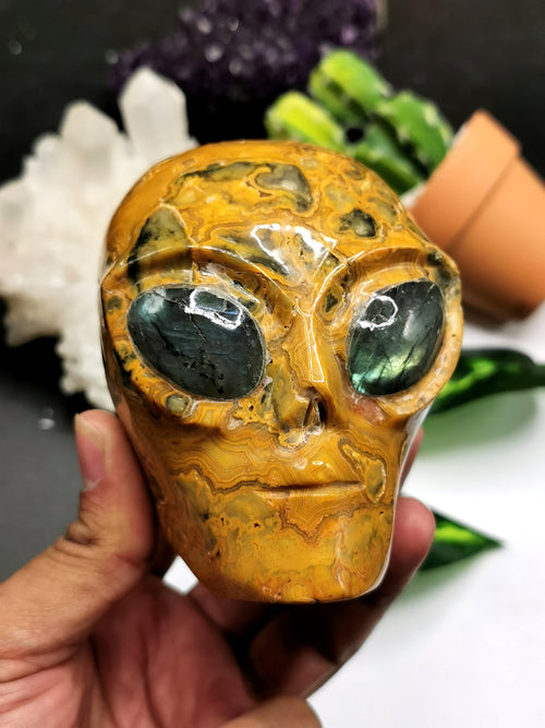 Crazy Lace Agate alien head with labradorite eyes - crystal healing - Shwasam