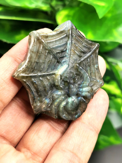 Labradorite stone hand carved spider in web with beautiful blue flash - Shwasam