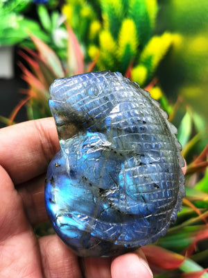 Labradorite cabrite/lizard/chameleon handmade carvings with beautiful blue flash - Shwasam