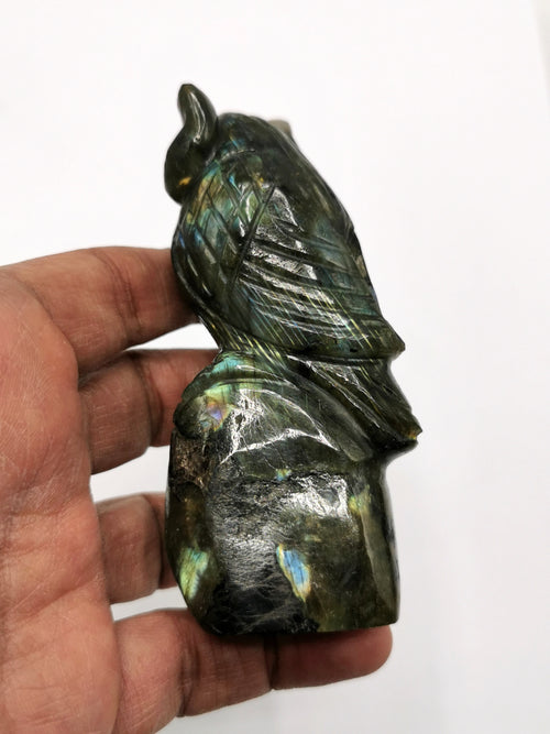 Owl carving in natural labradorite/black rainbow stone - reiki/chakra/healing/crystal - 3.5 inch and 188 gm (0.42 lb) animal carving