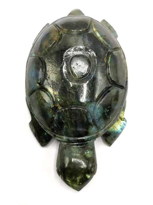 Tortoise carving in natural labradorite stone - reiki/chakra/healing/crystal - 5 inch and 440 gm (0.97 lb) animal carving