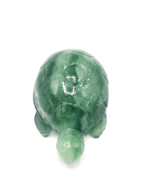 Tortoise carving in natural green fluorite stone - reiki/chakra/healing/crystal - 3 inches and 185 gm (0.41 lb) animal carving