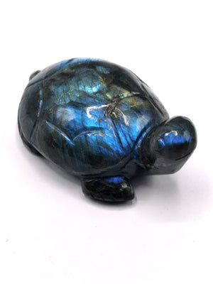 Hand carved tortoise carving in natural labradorite stone with blue flash - reiki/chakra/healing/crystal - 3 inch and 170 gm (0.37 lb) animal