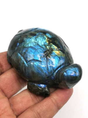 Hand carved tortoise carving in natural labradorite stone with blue flash - reiki/chakra/healing/crystal - 3 inch and 170 gm (0.37 lb) animal