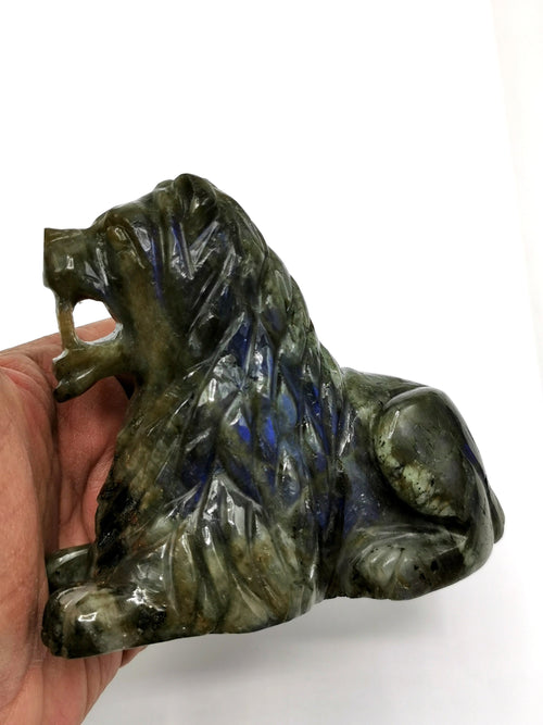 Labradorite Lion intricately handcarved - crystal/reiki/chakra/healing - 3.5 inches and 510 gms (1.12 lb) animal carving