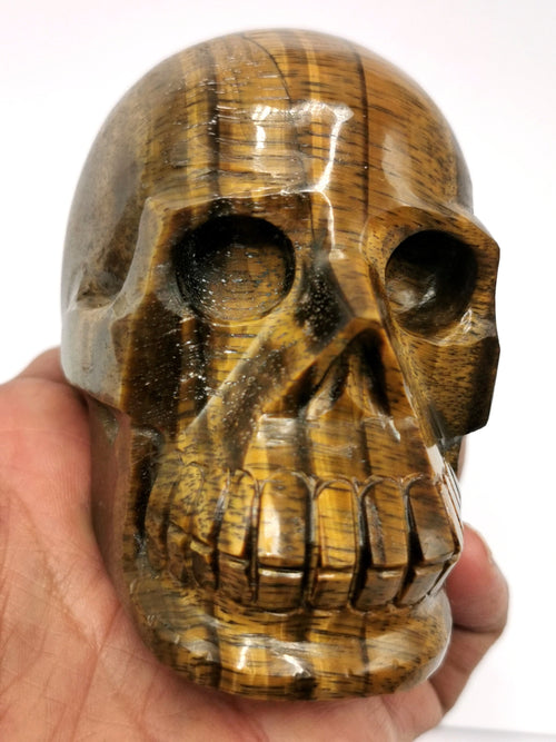 Skull in natural tiger eye stone - reiki/chakra/healing - crystal crafts - weight 434 gm (0.95 lb) and 3 inches