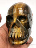 Skull in natural tiger eye stone - reiki/chakra/healing - crystal crafts - weight 434 gm (0.95 lb) and 3 inches