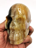 Skull in natural multi fluorite stone - reiki/chakra/healing - crystal crafts - weight 468 gm (1.03 lb) and 3 inches