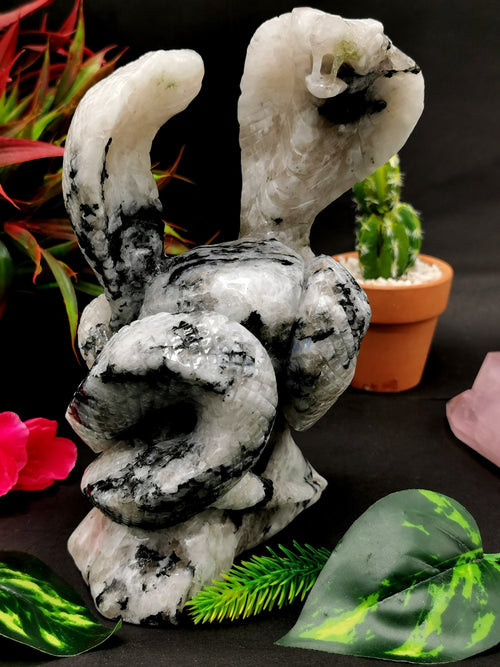 Unique carving of a pair of cobra snakes with raised hood in moonstone - crystal healing / chakra / reiki - 7.5 inches and 1.79 kg (3.94 lb) animal carving