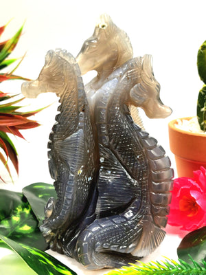 Unique sea horse family carving in Chalcedony stone - crystal healing / chakra / reiki / energy - 5.5 inches and 640 gms (1.41 lb) Animal Carving