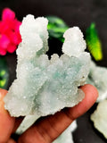 Set of coral mineral natural free forms (lot of 4 pieces) - reiki/energy/chakra/healing - 2 to 2.5 inches and 0.375 kg (0.825 lb)