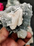 Apophyllite/stilbite/heulandite on coral natural mineral free forms (lot of 4 pcs) -reiki/energy/chakra/healing -2 to 4 inch and 0.59kg (1.30 lb)