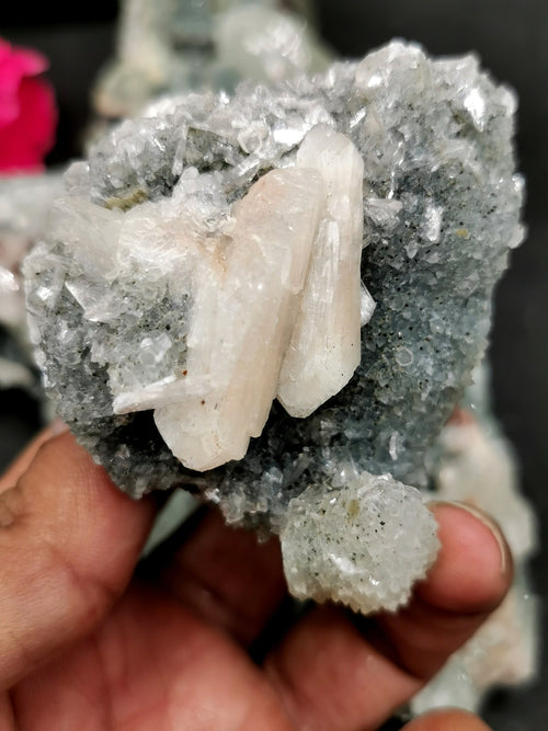Apophyllite/stilbite/heulandite on coral natural mineral free forms (lot of 4 pcs) -reiki/energy/chakra/healing -2 to 4 inch and 0.59kg (1.30 lb)