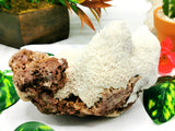 Scolecite on garnet natural free forms - reiki/energy/chakra/healing - 6 inches and 1.22 kgs (2.68 lb)