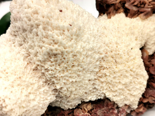 Scolecite on garnet natural free forms - reiki/energy/chakra/healing - 6 inches and 1.22 kgs (2.68 lb)