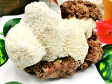Scolecite on garnet natural free forms - reiki/energy/chakra/healing - 6 inches and 1.22 kgs (2.68 lb)