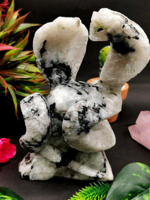 Unique carving of a pair of cobra snakes with raised hood in moonstone - crystal healing / chakra / reiki - 7.5 inches and 1.79 kg (3.94 lb) animal carving