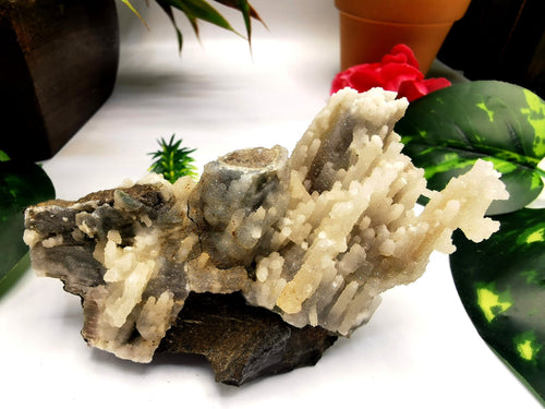 Mountain coral mineral crystal natural free form specimen - reiki/energy/chakra/healing - 4 inches and 170 gms (0.37 lb)