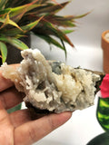 Mountain coral mineral crystal natural free form specimen - reiki/energy/chakra/healing - 4 inches and 170 gms (0.37 lb)