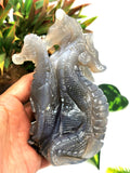 Unique sea horse family carving in Chalcedony stone - crystal healing / chakra / reiki / energy - 5.5 inches and 640 gms (1.41 lb) Animal Carving