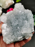 Set of apophyllite on quartz mineral natural free forms (lot of 5 pieces) -reiki/energy/chakra/healing -3 to 4 inches and 1.21 kg (2.66 lb)