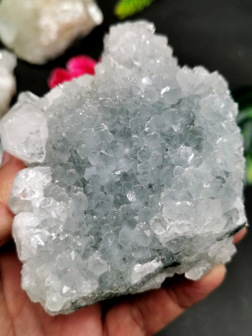 Set of apophyllite on quartz mineral natural free forms (lot of 5 pieces) -reiki/energy/chakra/healing -3 to 4 inches and 1.21 kg (2.66 lb)