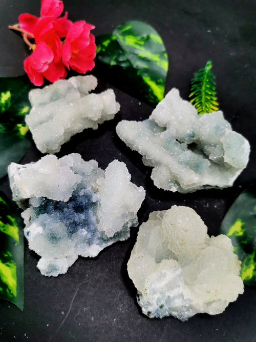 Set of coral mineral natural free forms (lot of 4 pieces) - reiki/energy/chakra/healing - 2 to 2.5 inches and 0.375 kg (0.825 lb)