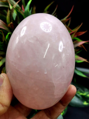 Breathtaking natural Rose Quartz Lingam/Shivling - Energy/Reiki/Crystal Healing - 3.8 inches (9.5 cms) length and 790 gms (1.74 lb)