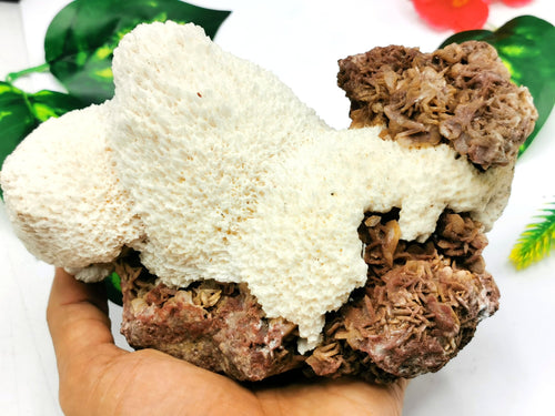 Scolecite on garnet natural free forms - reiki/energy/chakra/healing - 6 inches and 1.22 kgs (2.68 lb)