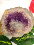 Amethyst geode / cluster / crystal - reiki/energy/chakra healing - 6 inches (15 cms) and 440 gms (0.97 lb)