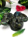 Slithering snake carving in Labradorite stone - crystal healing / chakra / reiki / energy - 5 inches and 520 gms (1.14 lb)