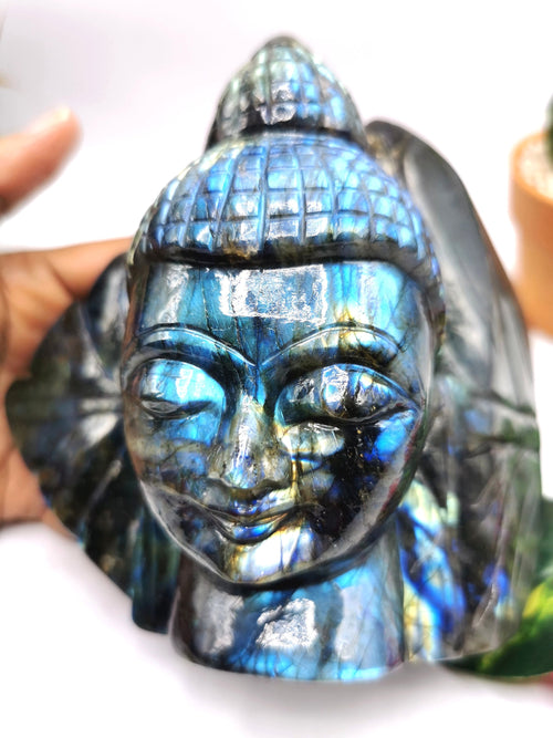 Labradorite Buddha Head on leaf - handmade carving of serene and meditating Lord Buddha - crystal/reiki/chakra - 5.5 inches and 1.72 kg