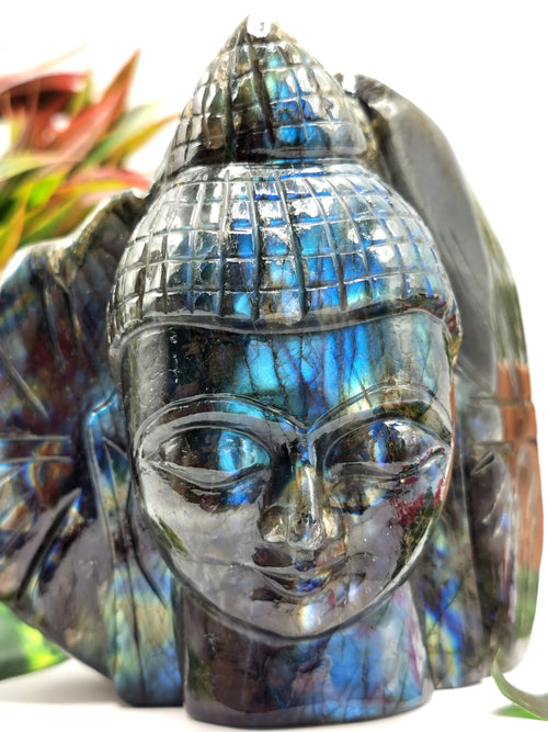 Labradorite Buddha Head on leaf - handmade carving of serene and meditating Lord Buddha - crystal/reiki/chakra - 5.5 inches and 1.72 kg