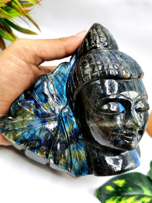 Labradorite Buddha Head on leaf - handmade carving of serene and meditating Lord Buddha - crystal/reiki/chakra - 5.5 inches and 1.72 kg