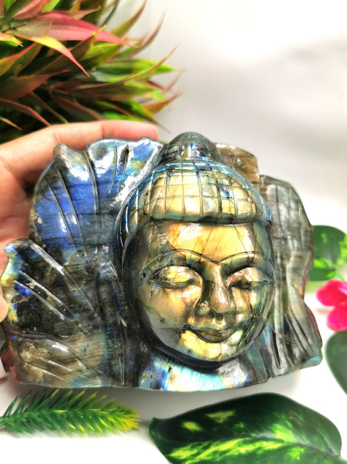 Labradorite Buddha Head on leaf - handmade carving of serene and meditating Lord Buddha - crystal/reiki/chakra -5.5 inches and 1.68 kg